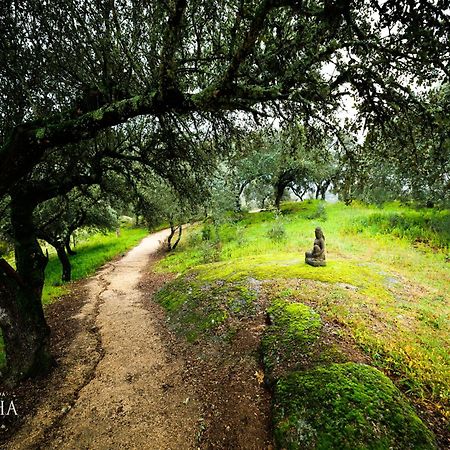 Herdade Da Rocha - Boutique Lodge Crato Zewnętrze zdjęcie