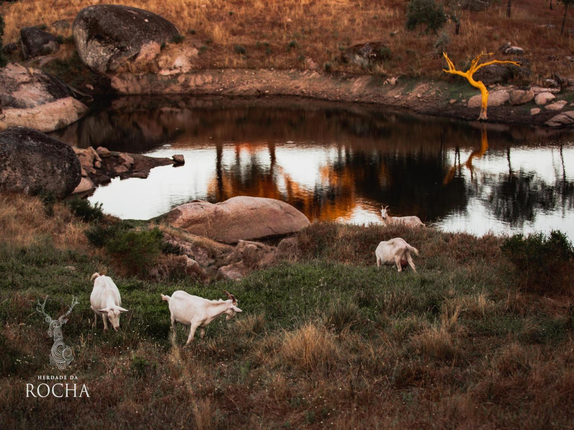 Herdade Da Rocha - Boutique Lodge Crato Zewnętrze zdjęcie