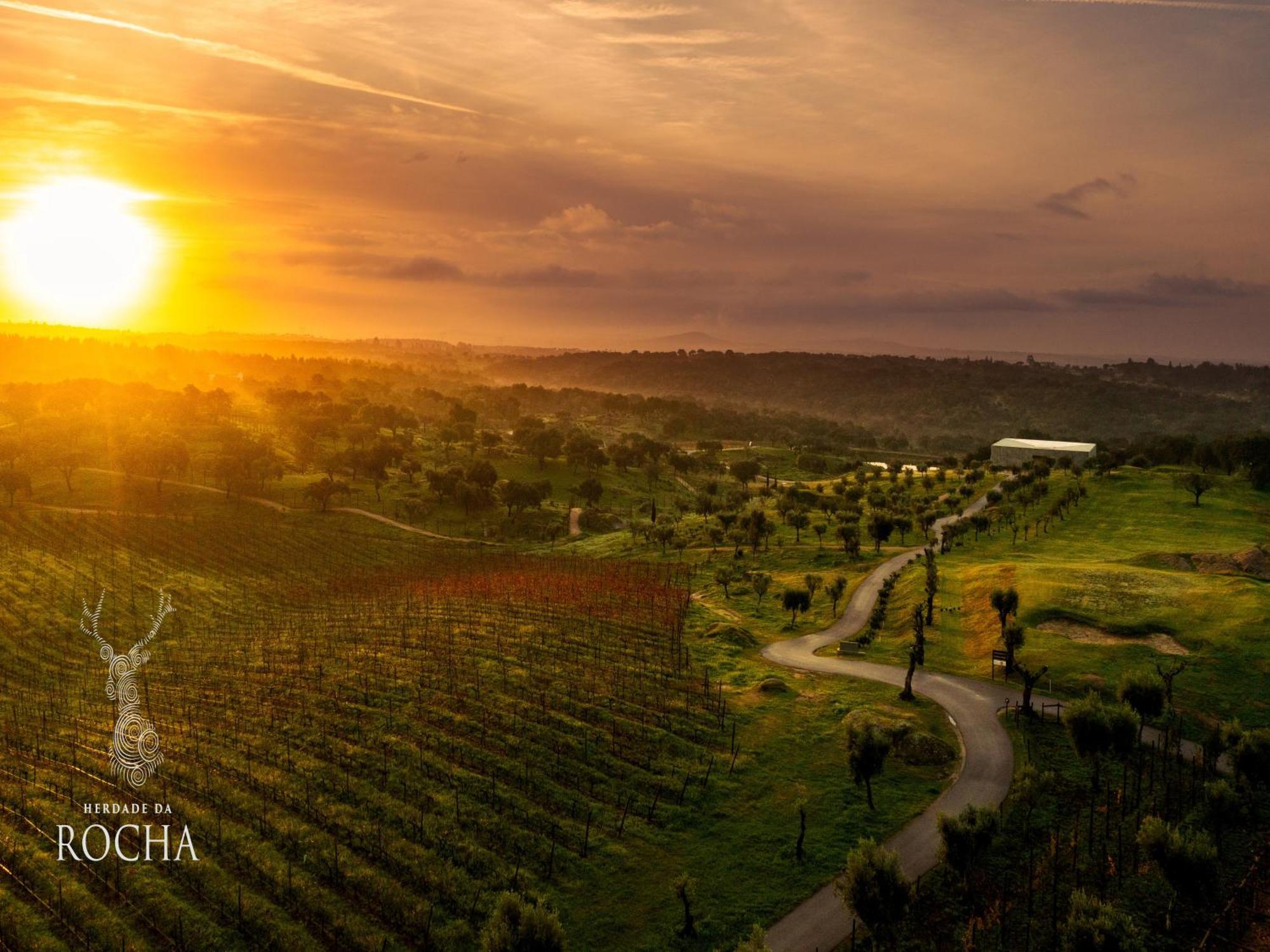 Herdade Da Rocha - Boutique Lodge Crato Zewnętrze zdjęcie